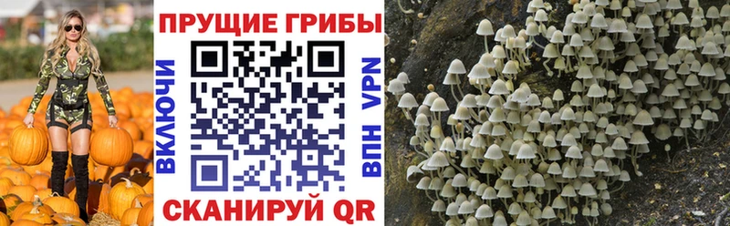 Псилоцибиновые грибы GOLDEN TEACHER  hydra ONION  Реж  наркошоп 